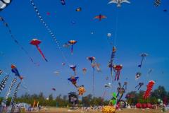 Goa Kite Festival 2015