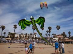 Kite Party 14 - Dragon