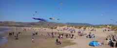 Morro Bay Kite Festival 2016