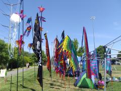 San Ramon Art and Wind Festival 2016 - Banners