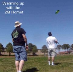 2M Hornet