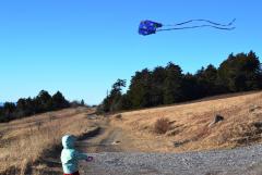 Flying her brother's Christmas kite
