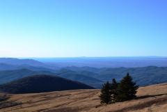 View from Whitetop mountain