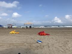 SPI KiteDay