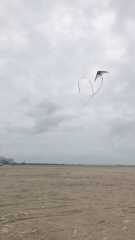 SPI Flats 2018