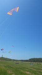 Wright Kite Festival