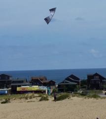 Gray Fade at Jockey's Ridge