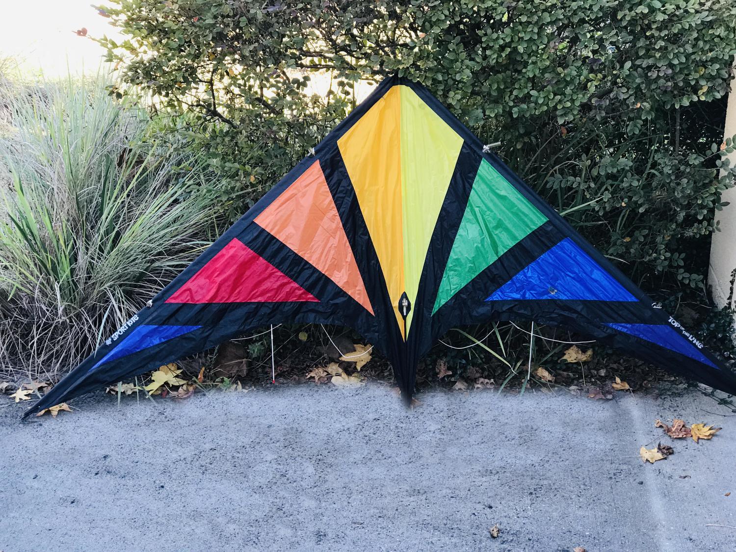 Kites for sale in Sunnyside, New Jersey