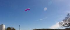 Purple Perspective Kite#83