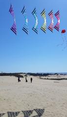 Spectrum Stack Jockey's Ridge