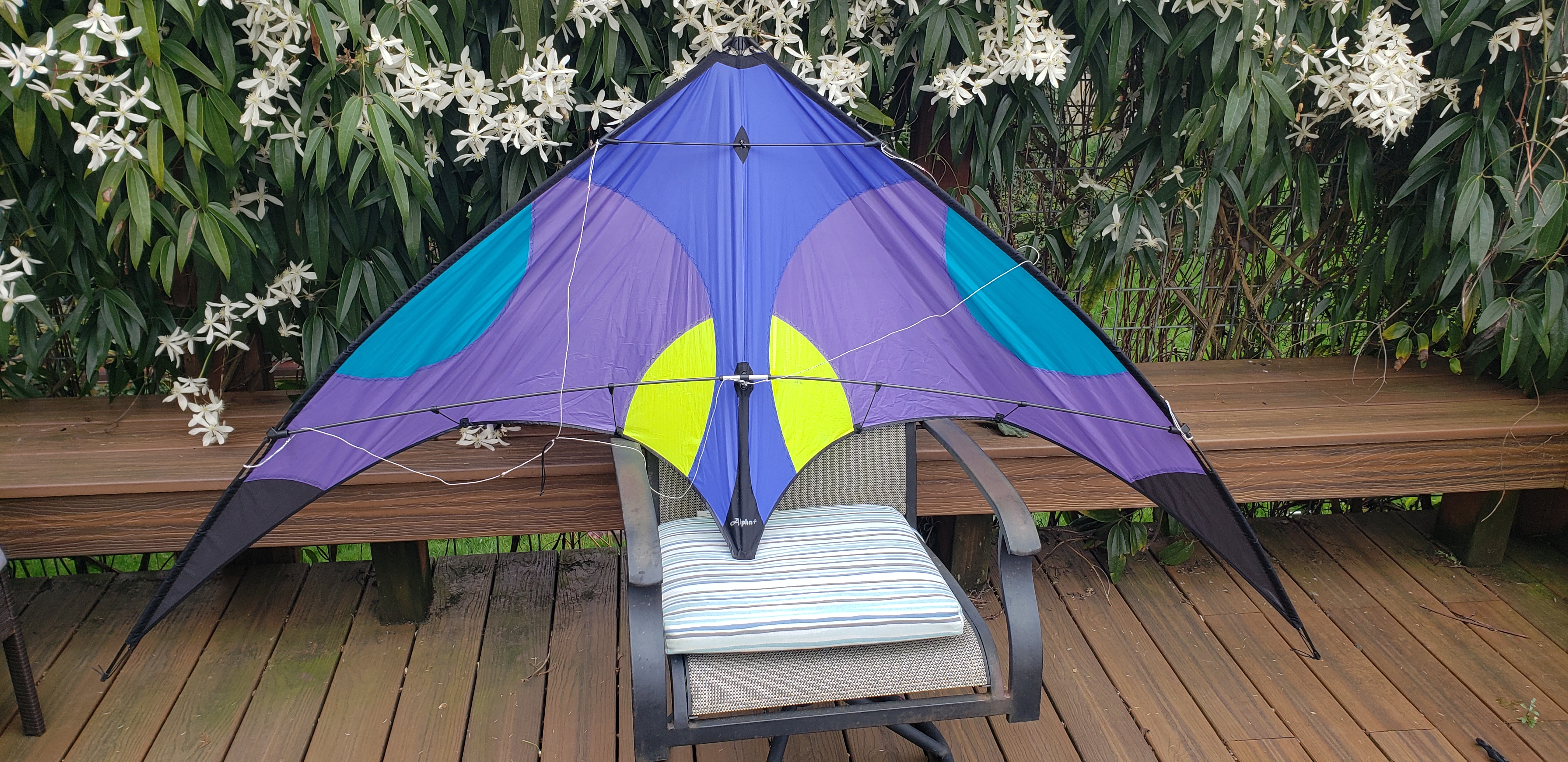 Flying Wings Alpha+ , $70 +shipping