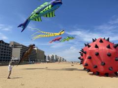 Kite Festival Photos