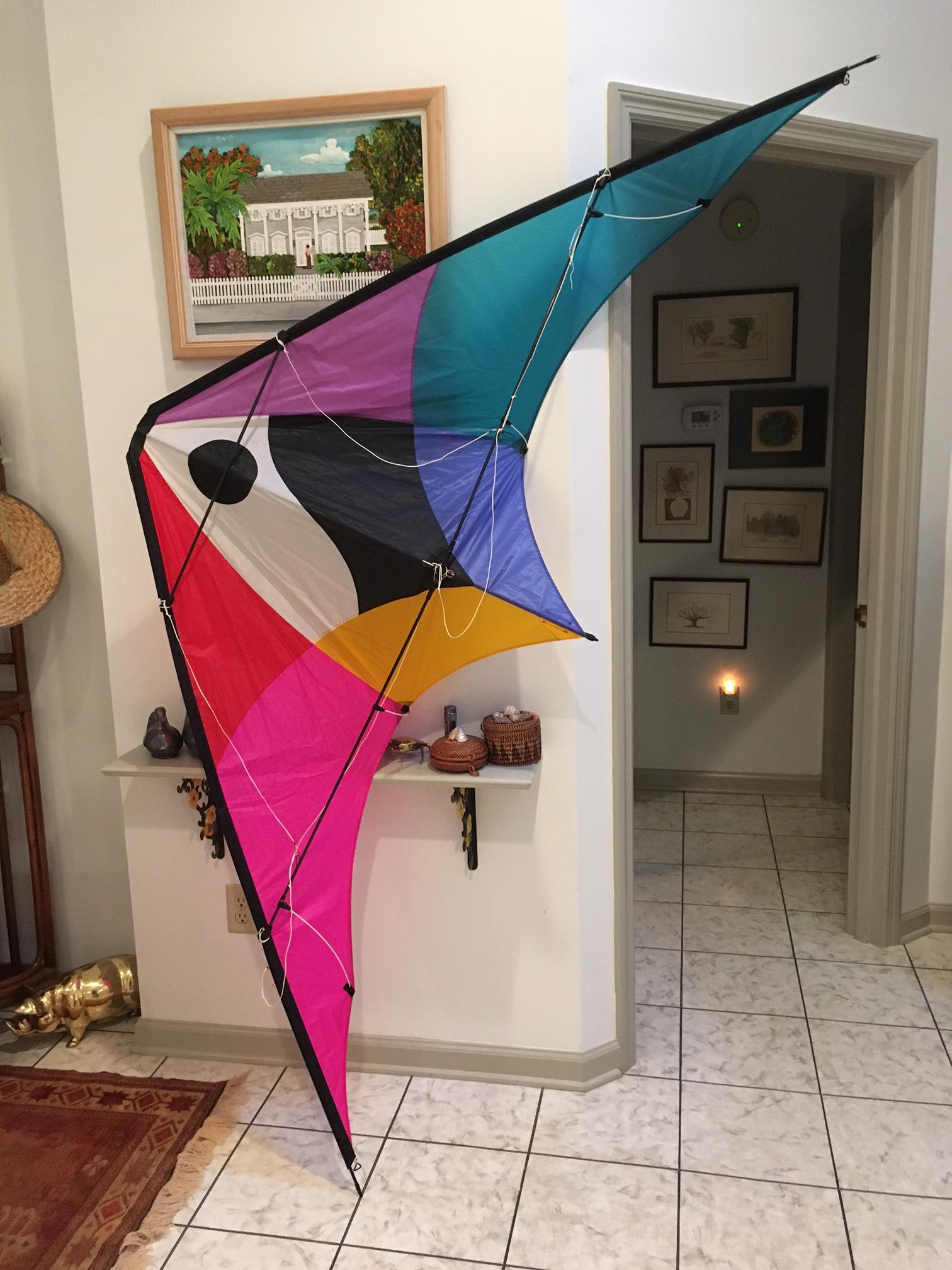 Corona by Joel Scholz and Sky Delight Kites