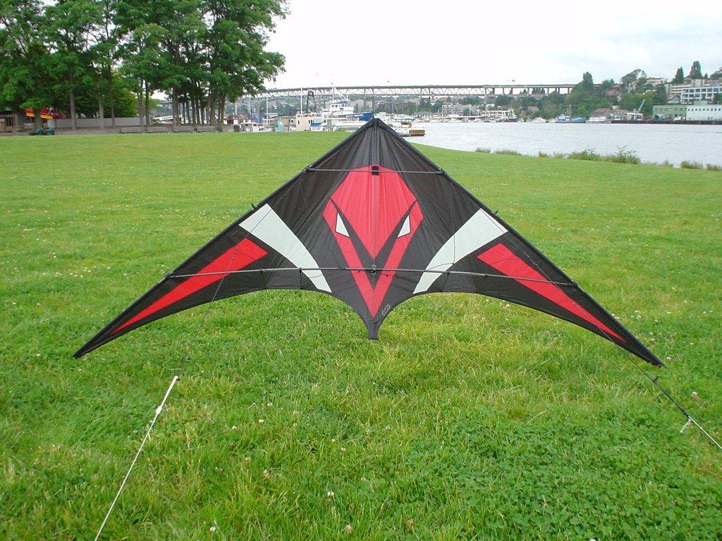 ISO vented Viper sport kite