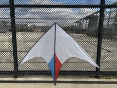 Focus Kites Design The Ray x Bunduki Vlieger