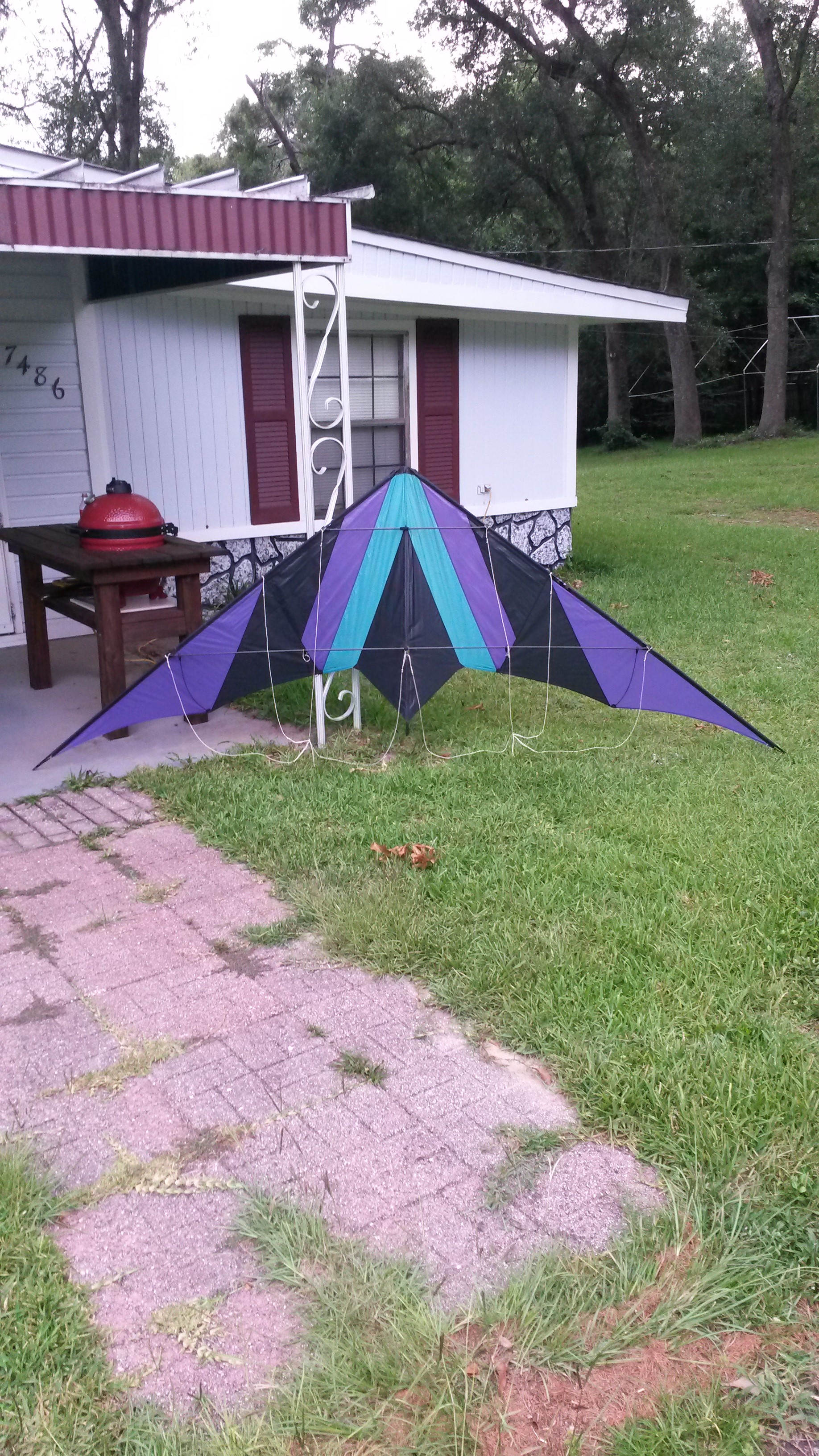 Looking for  very large dual line sport kite