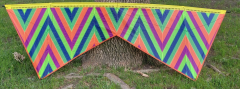 Neon ZigZag (Kite#97)