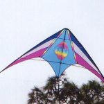 Pizazz kite