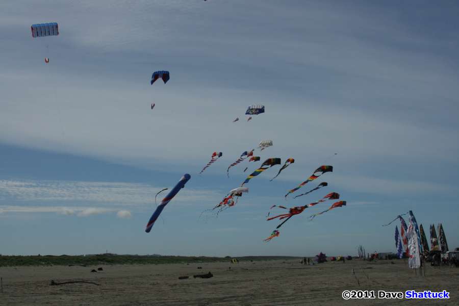 Issue 79 Westport Windriders Kite Festival KiteLife®