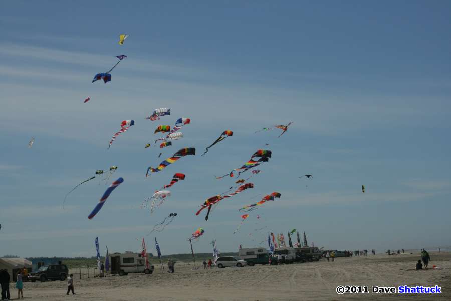 Issue 79: Westport Windriders Kite Festival | KiteLife®