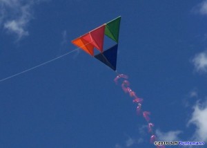 Wala XL - Kite Videos - KiteLife Forum