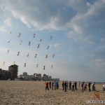 Rev kites in grid formation